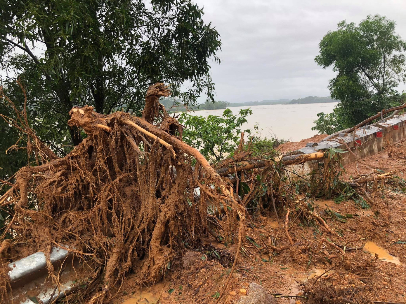 Kinh hãi hàng nghìn khối đất đổ ập xuống quốc lộ ở Nghệ An ảnh 5