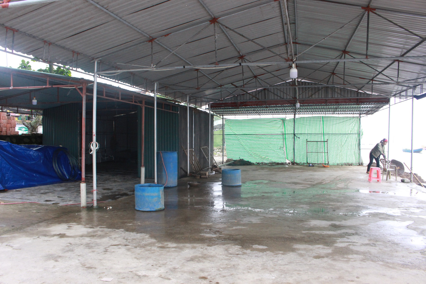 Nông dân lao đao vì ngao chết hàng loạt, nay lại ế ẩm do dịch ảnh 5