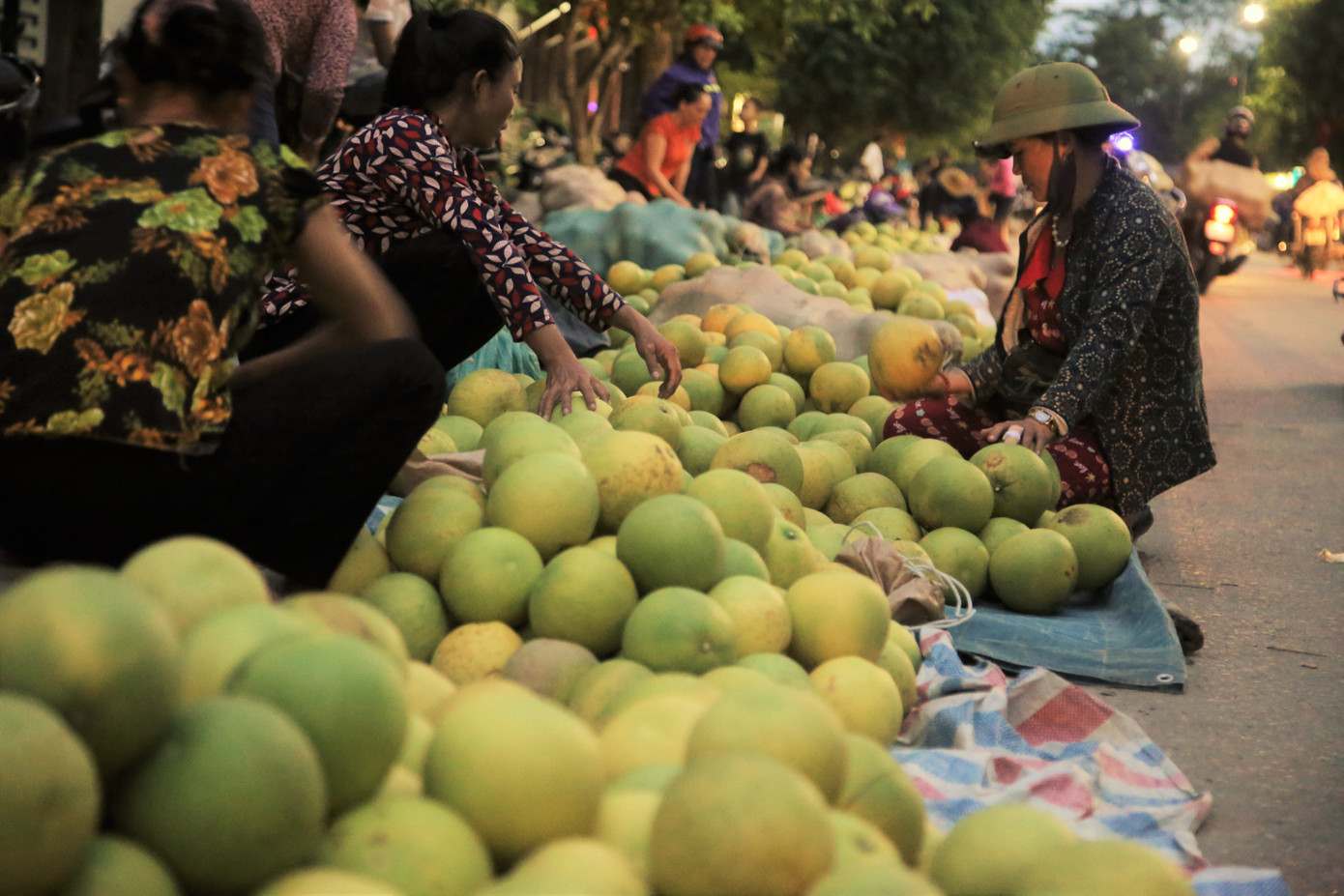 Bưởi đặc sản vào vụ, trăm người soi đèn thức trắng bán ở chợ đêm ảnh 9