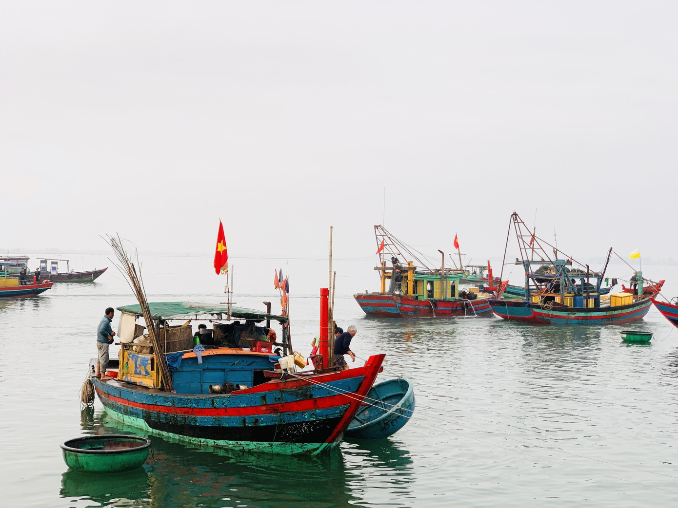 Vươn khơi đầu năm, ngư dân phấn khởi trúng đậm tôm, cá ảnh 18