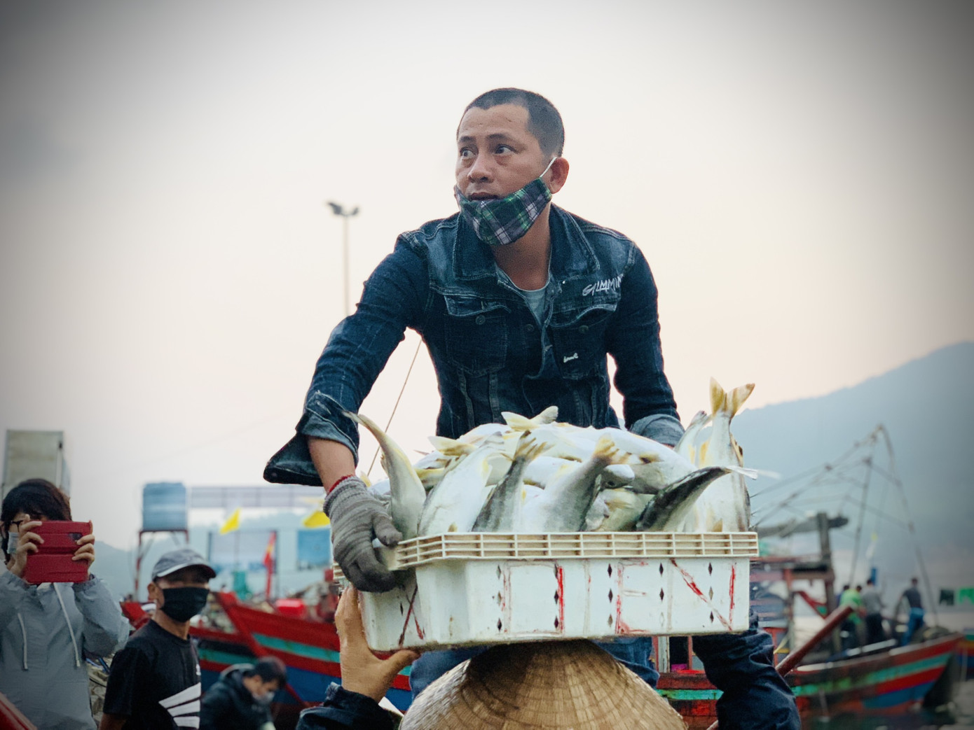 Vươn khơi đầu năm, ngư dân phấn khởi trúng đậm tôm, cá ảnh 6