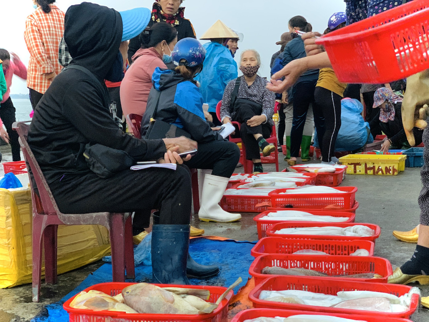 Vươn khơi đầu năm, ngư dân phấn khởi trúng đậm tôm, cá ảnh 9