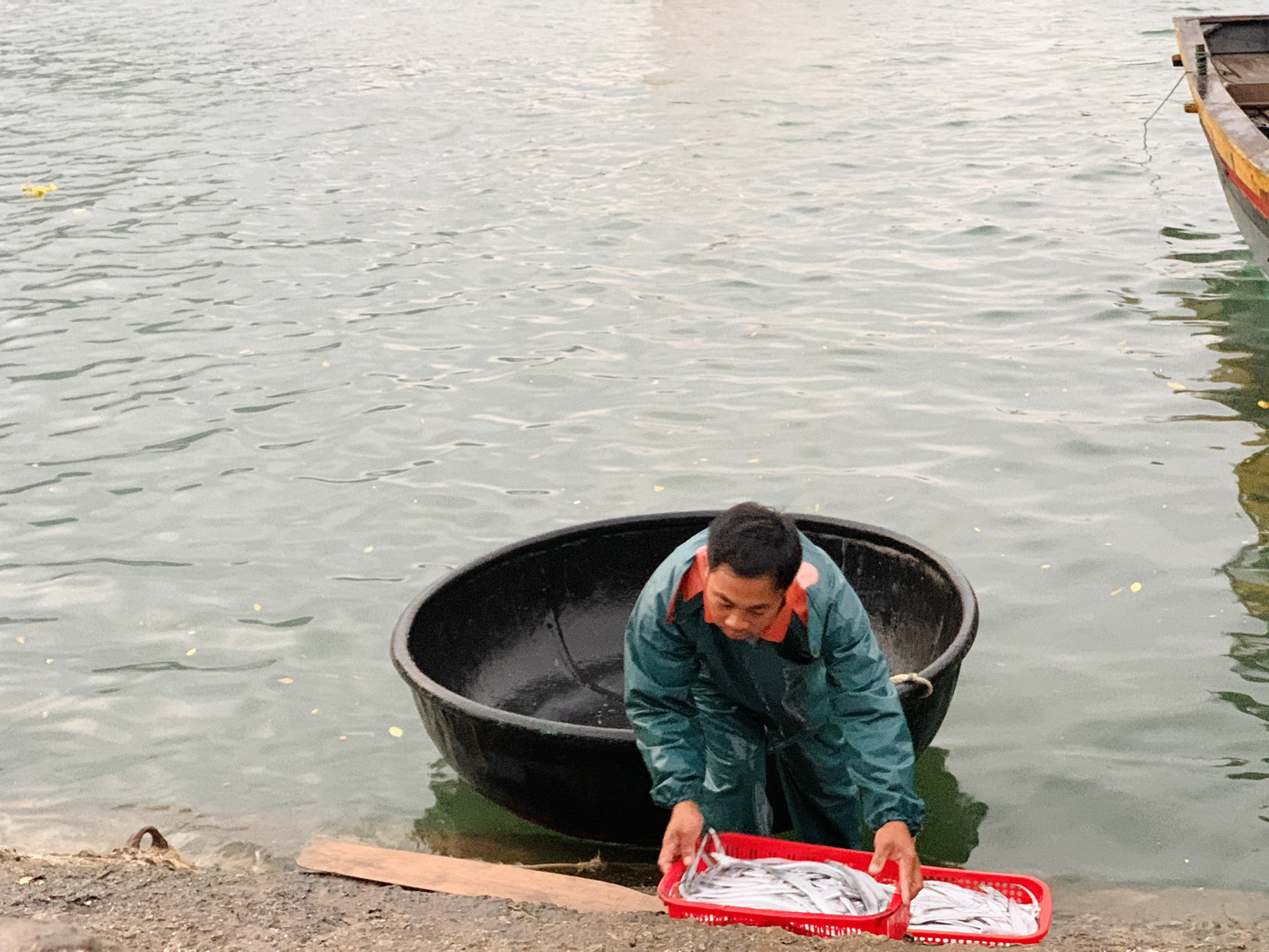 Vươn khơi đầu năm, ngư dân phấn khởi trúng đậm tôm, cá ảnh 10