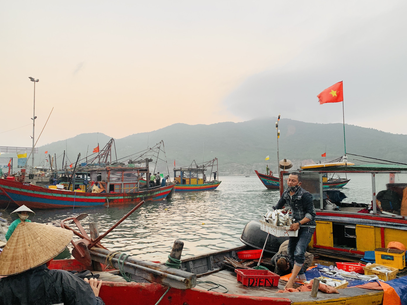 Vươn khơi đầu năm, ngư dân phấn khởi trúng đậm tôm, cá ảnh 5