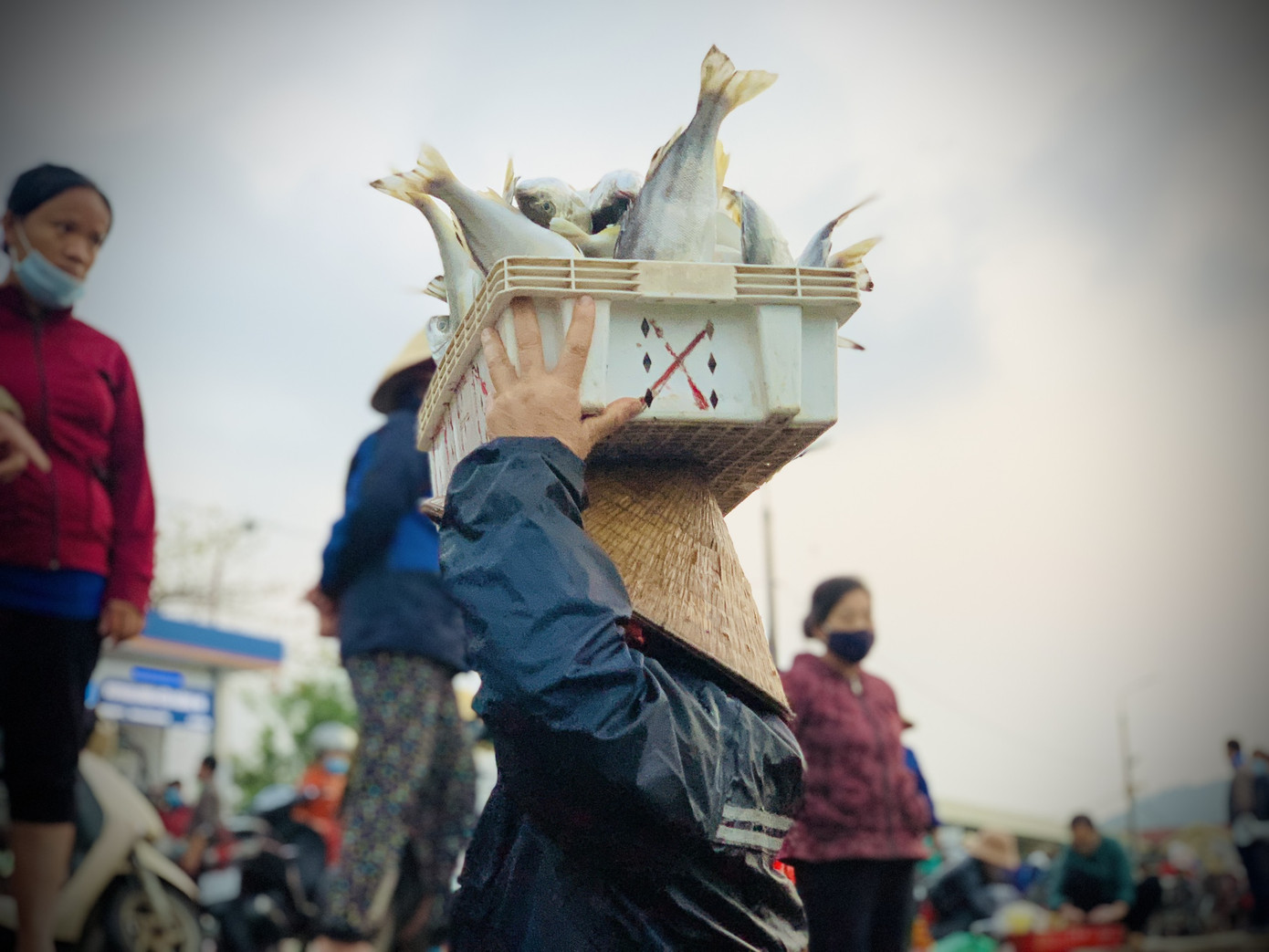 Vươn khơi đầu năm, ngư dân phấn khởi trúng đậm tôm, cá ảnh 11