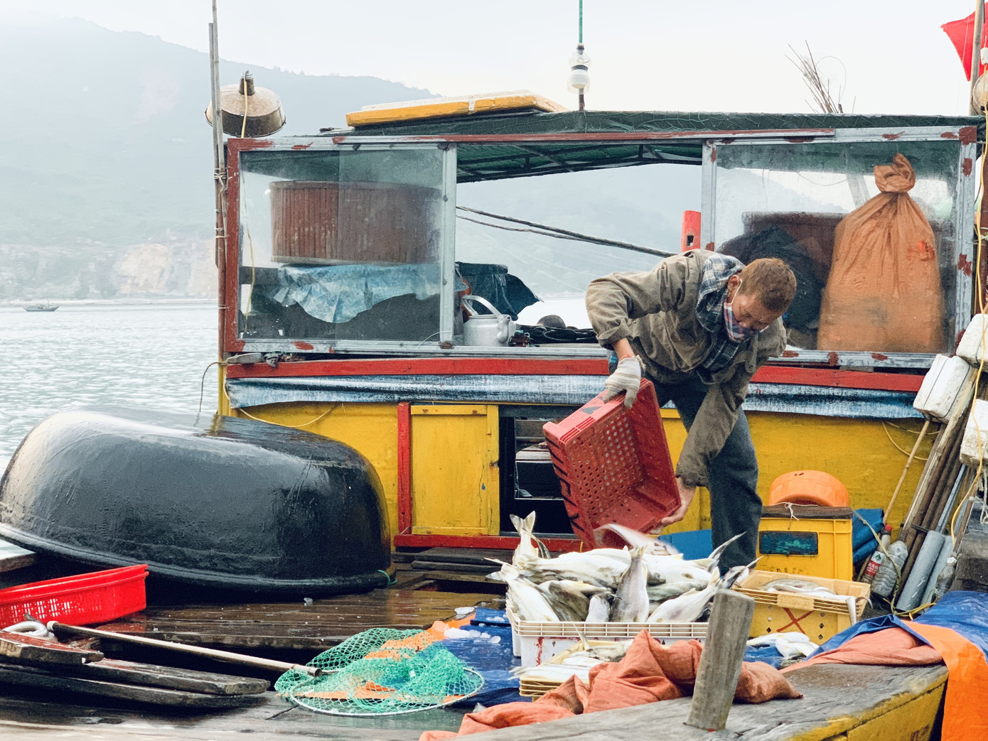 Vươn khơi đầu năm, ngư dân phấn khởi trúng đậm tôm, cá ảnh 4