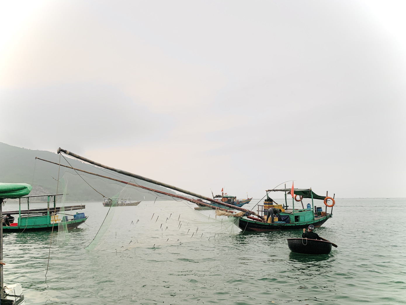 Vươn khơi đầu năm, ngư dân phấn khởi trúng đậm tôm, cá ảnh 7