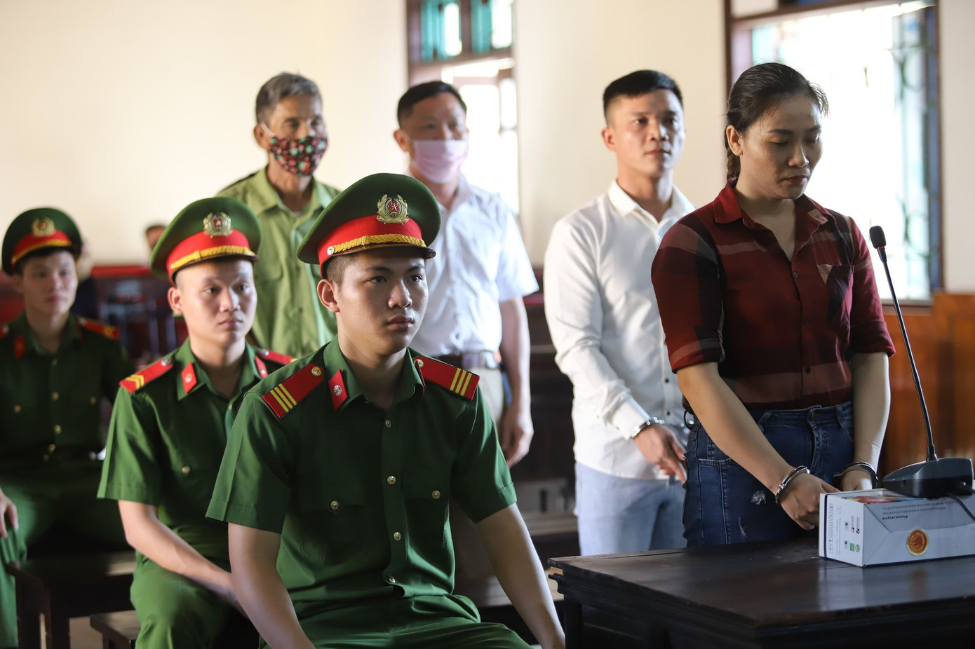 Hoãn phiên tòa đưa người trốn sang Anh do 63 nhân chứng vắng mặt ảnh 1