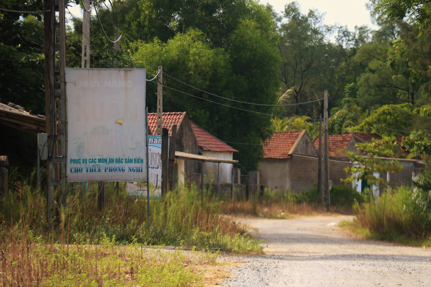 Cảnh hoang tàn ở khu du lịch biển Xuân Thành ảnh 12