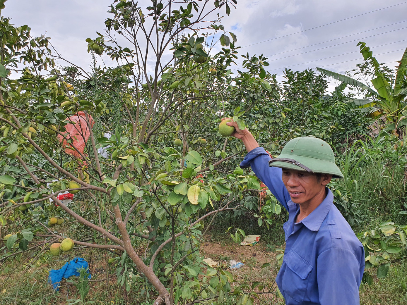 Hồ đập cạn khô, ruộng đồng nứt nẻ, dân quay cuồng trong nắng nóng miền Trung ảnh 4