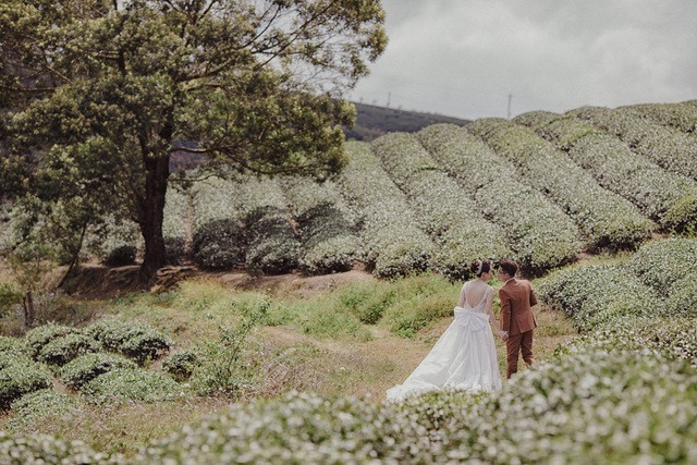 Nhiếp ảnh gia 'xấu trai' cưa đổ vợ đẹp với lời hứa tặng 10.000 ảnh để đời ảnh 2