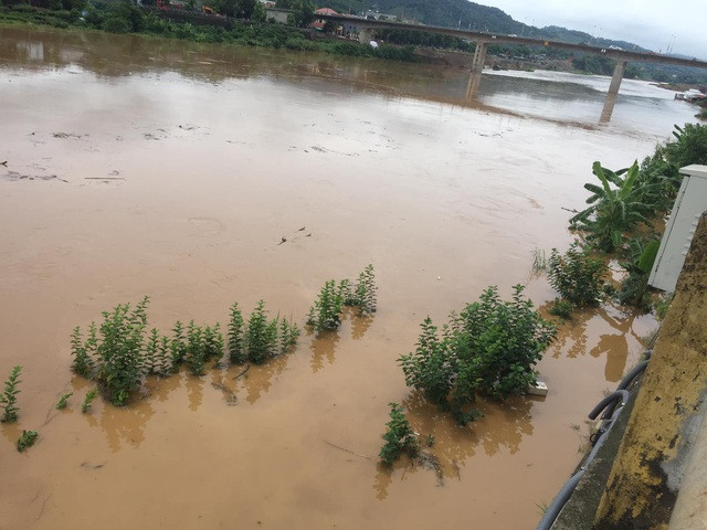 Lũ lớn trên thượng nguồn sông Hồng từ Trung Quốc đang đổ về Lào Cai ảnh 1