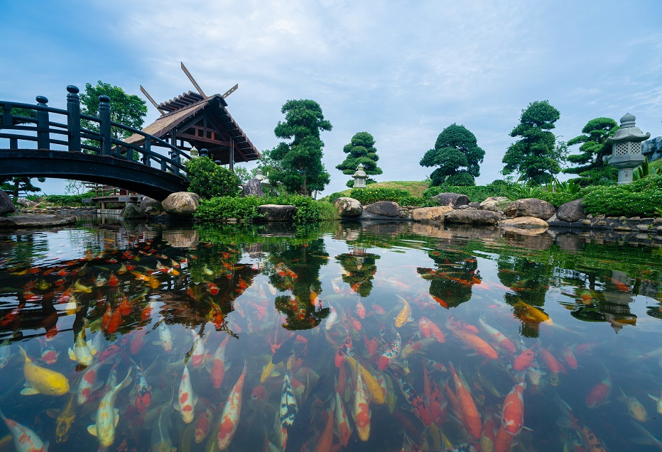 Tin được không? Vé cáp treo Nữ Hoàng tại Hạ Long chỉ còn 175.000 đồng ảnh 4