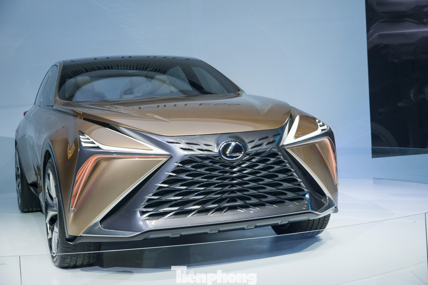 Số ít ôtô nhập khẩu, xe ý tưởng - điểm nhấn đáng xem ở VMS 2019 ảnh 2