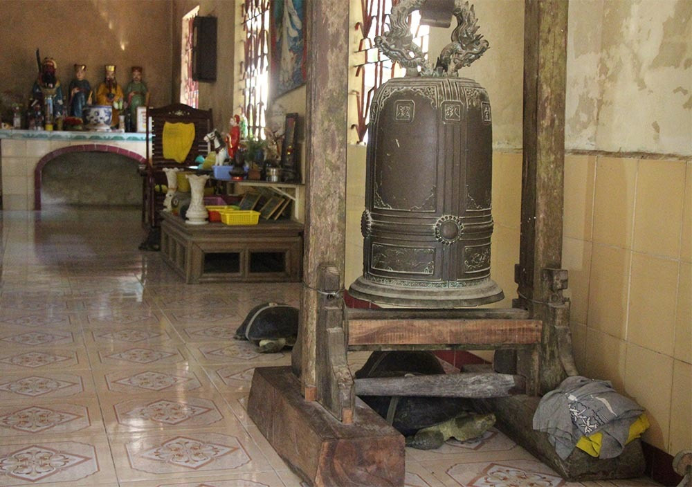 'Cụ rùa' sống dưới tượng phật Quan Âm trong chùa ở miền Tây ảnh 9