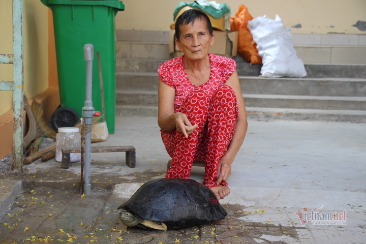 'Cụ rùa' sống dưới tượng phật Quan Âm trong chùa ở miền Tây ảnh 5