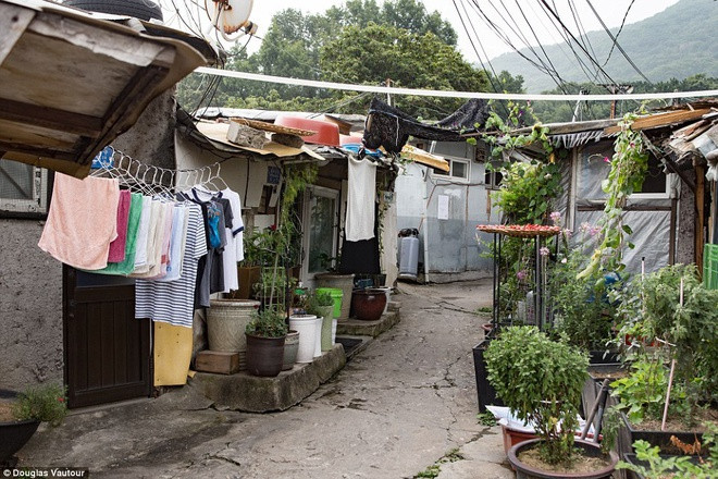 Khu ổ chuột quay 'Ký sinh trùng' từng khiến thế giới sốc về Hàn Quốc ảnh 5