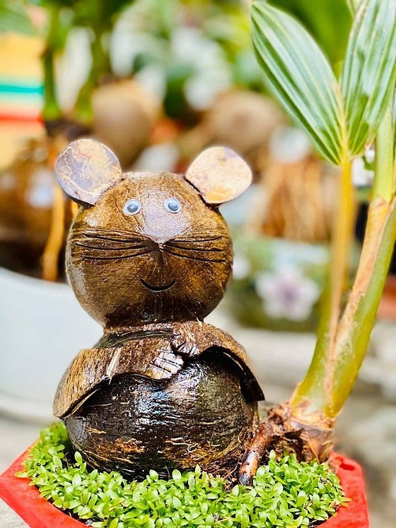 Dừa bonsai hình chuột đắt khách ảnh 2