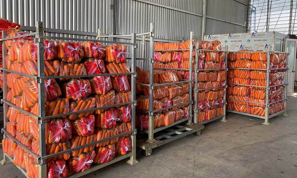 Hải Dương gửi công văn lần 3, kiến nghị Hải Phòng cho hàng hoá về cảng ảnh 3