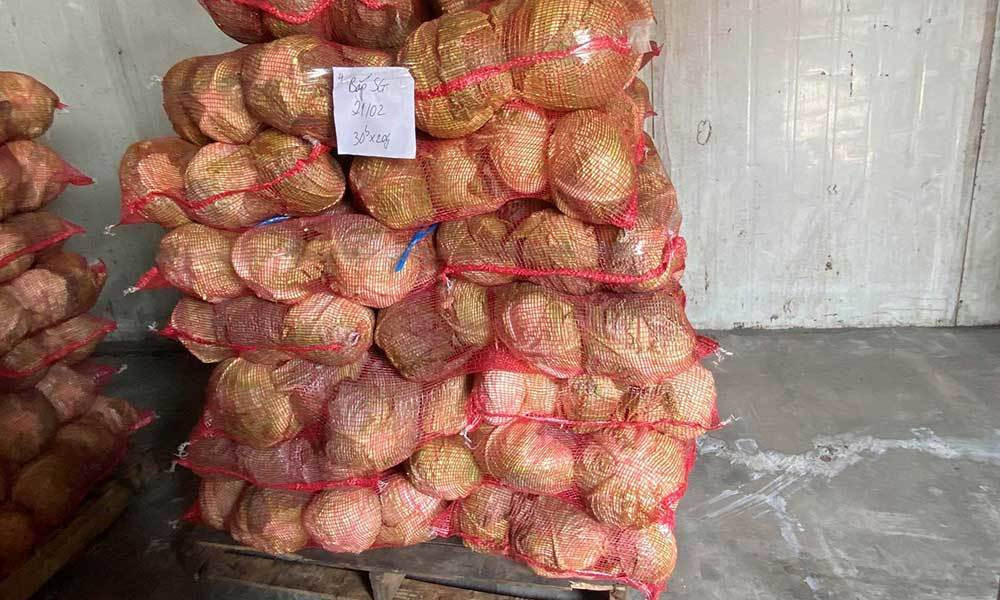 Hải Dương gửi công văn lần 3, kiến nghị Hải Phòng cho hàng hoá về cảng ảnh 5