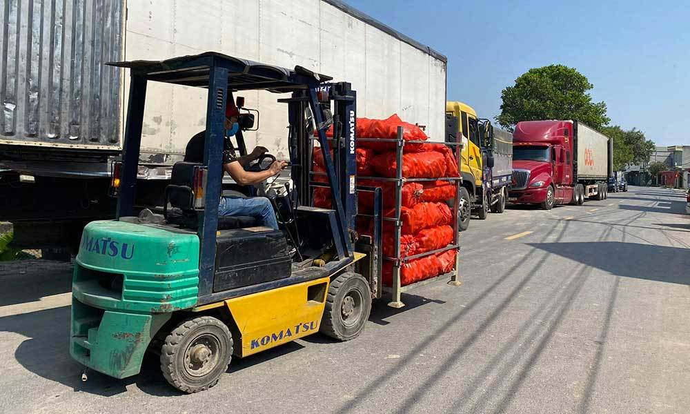 Hải Dương gửi công văn lần 3, kiến nghị Hải Phòng cho hàng hoá về cảng ảnh 4