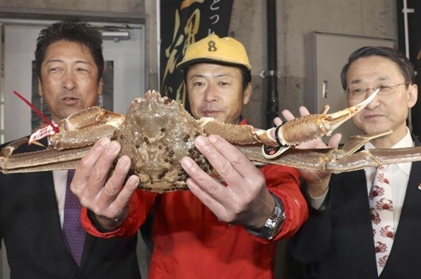 Choáng với độ chơi sang của nhà giàu Việt, chi chỉ vàng ăn con cua lạ ảnh 2