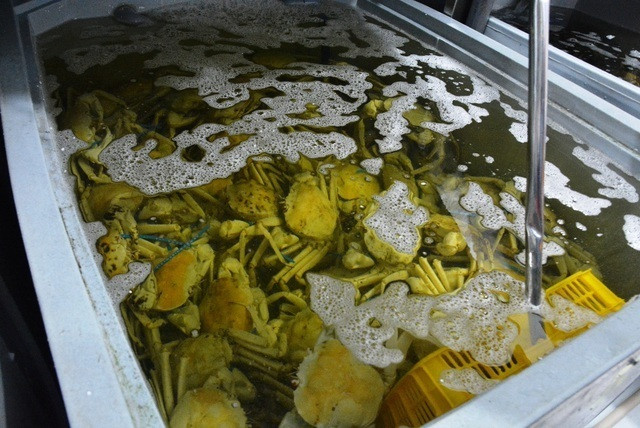 Choáng với độ chơi sang của nhà giàu Việt, chi chỉ vàng ăn con cua lạ ảnh 4