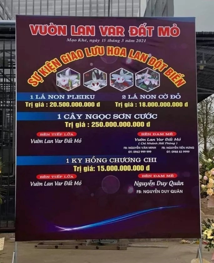 Sơn La yêu cầu người bán hoa lan đột biến phải nộp thuế ảnh 1