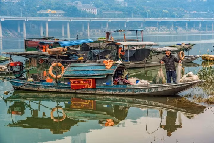 Vì sao Trung Quốc phải thả 10.000 con cá sau khi xây xong đập Tam Hiệp ảnh 3