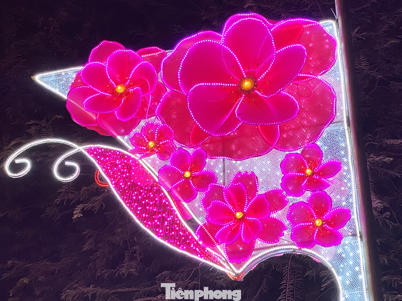 Đường phố Sài Gòn rực rỡ sắc màu chào đón năm 2020 ảnh 9