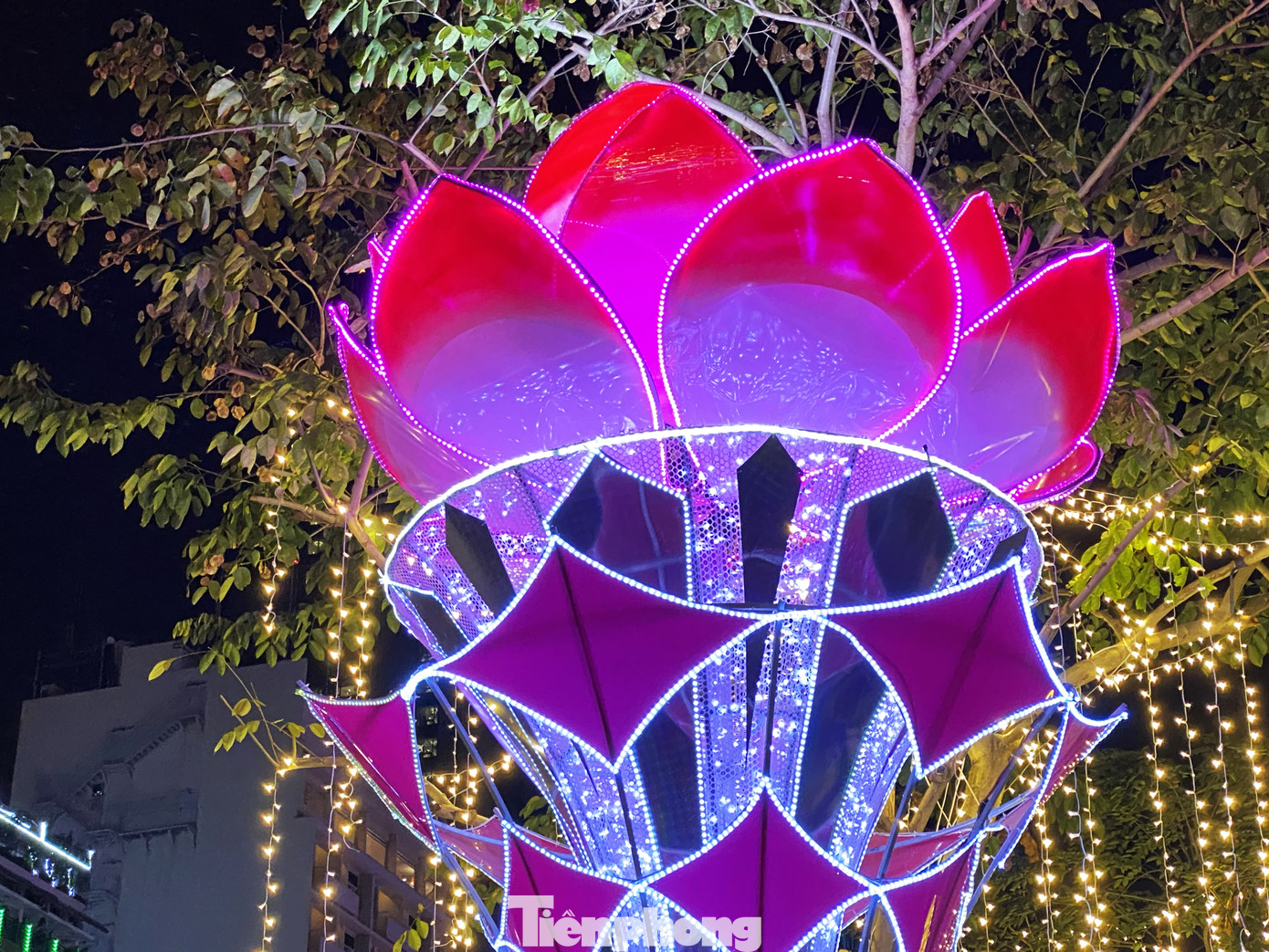 Đường phố Sài Gòn rực rỡ sắc màu chào đón năm 2020 ảnh 4