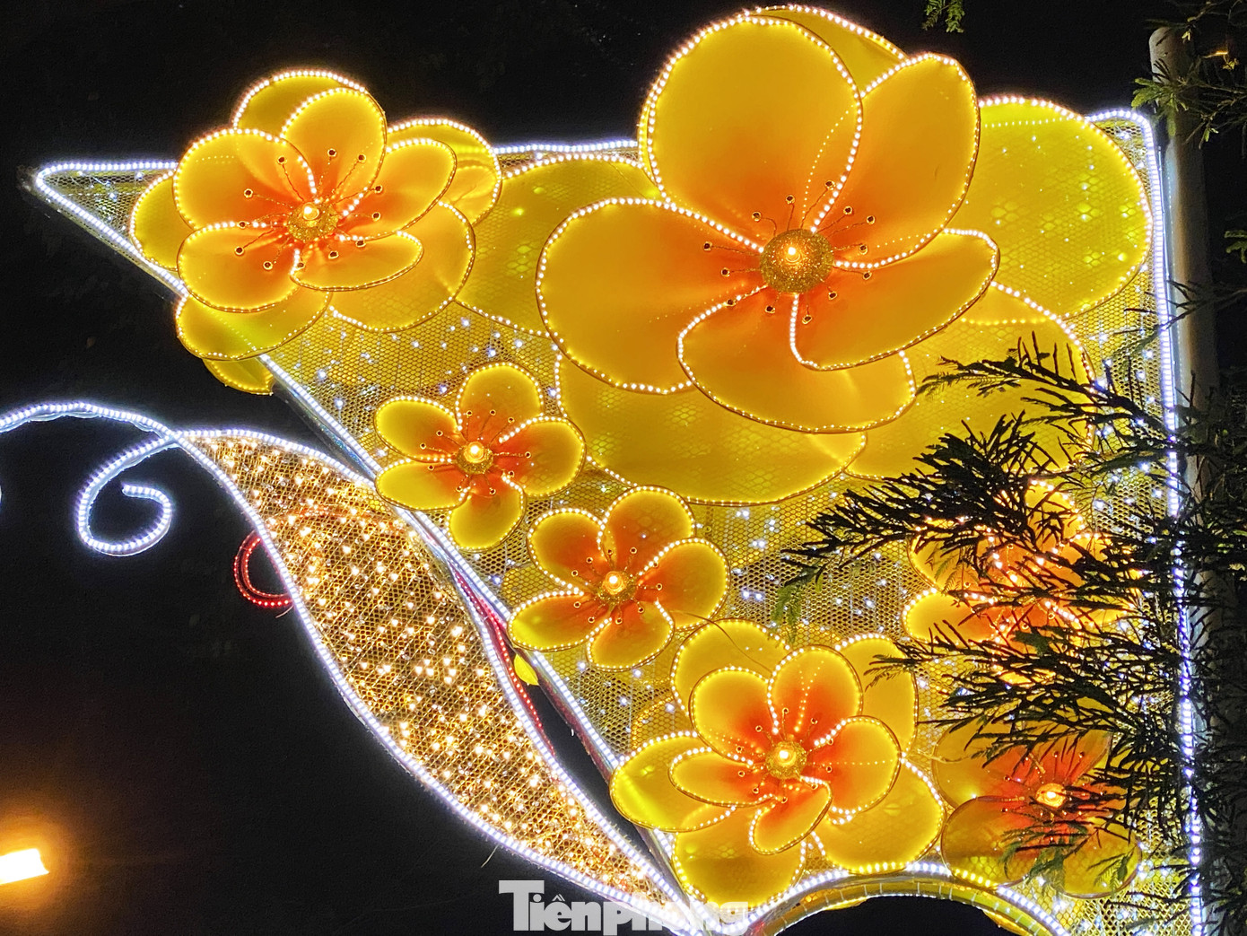 Đường phố Sài Gòn rực rỡ sắc màu chào đón năm 2020 ảnh 10