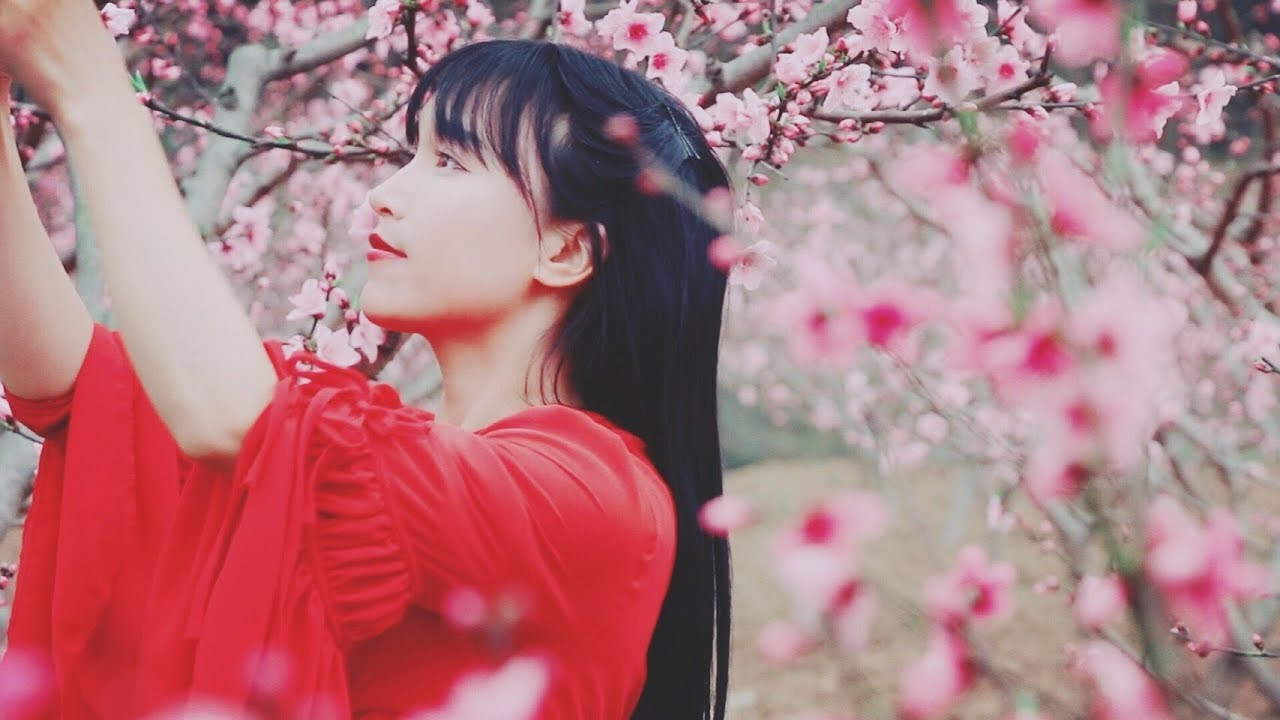 ‘Tiên nữ đồng quê’ Lý Tử Thất lọt top 15 người ảnh hưởng nhất Trung Quốc là ai? ảnh 3