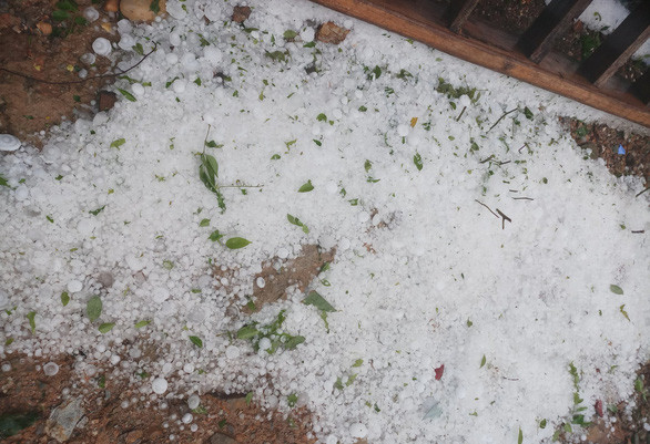 Giông lốc, mưa đá cuốn bay 11 lều bạt phòng chống COVID -19 ở biên giới ảnh 1