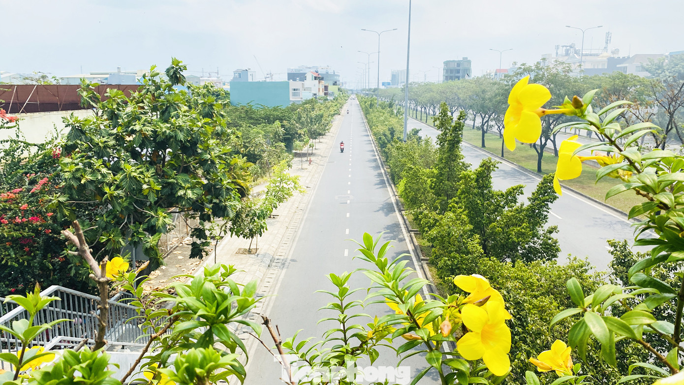 Ngày Chủ nhật ở Sài Gòn vắng vẻ đến kỳ lạ ảnh 3