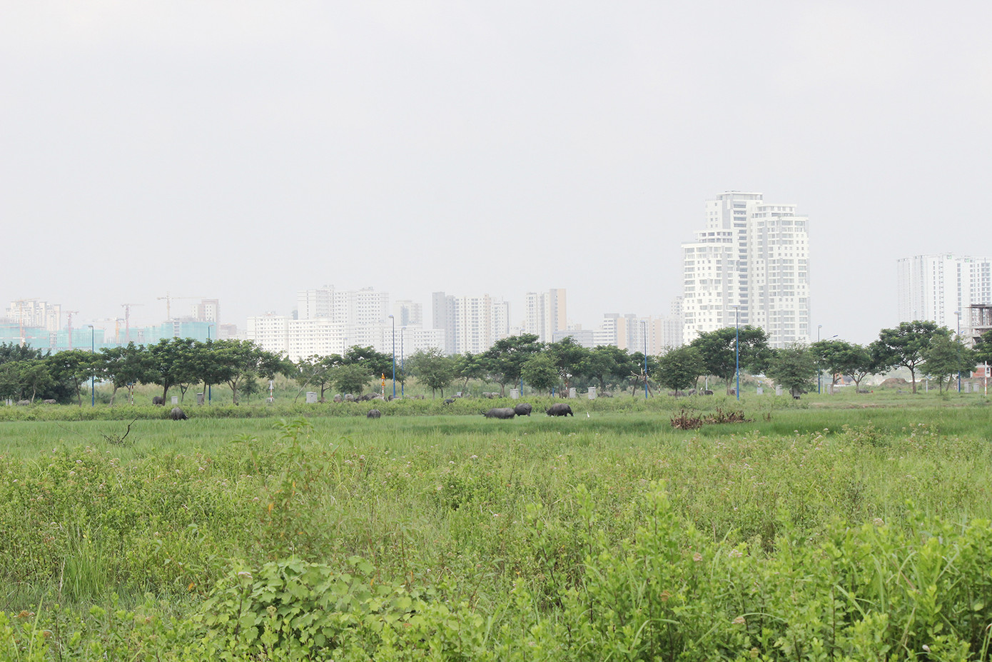 Tạo dựng quỹ đất, chuyển nhượng dự án cuộc đua của những ông lớn ảnh 2