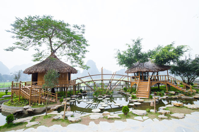 Hang Múa: Từ sen tới lúa, nhà trên cây hút du khách ảnh 4