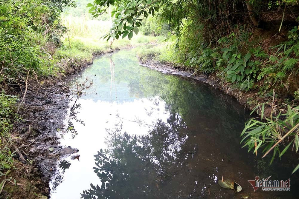 Mùi khủng khiếp ở đồi Mông, nơi xả thải xuống nhà máy nước sông Đà ảnh 11