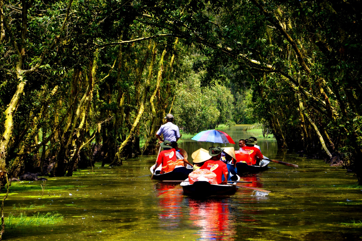 Sức sống 'Tân Châu Cảng' nơi biên giới An Giang ảnh 1