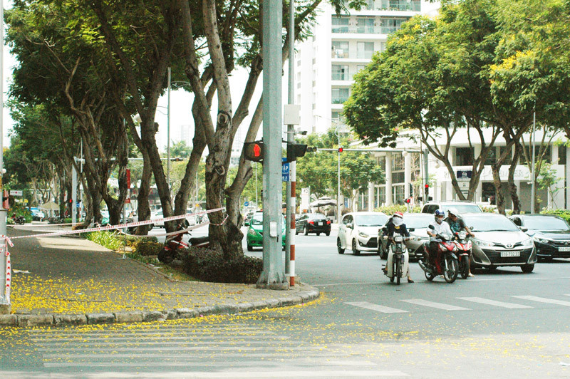 Phong tỏa chung cư cao cấp tại TPHCM phòng chống Covid-19 ảnh 2