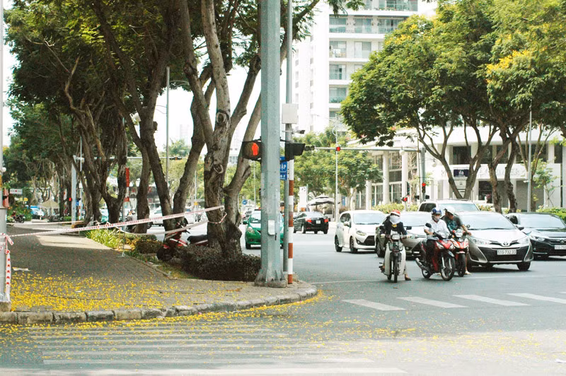 Phong tỏa chung cư cao cấp tại TPHCM phòng chống Covid-19 ảnh 2