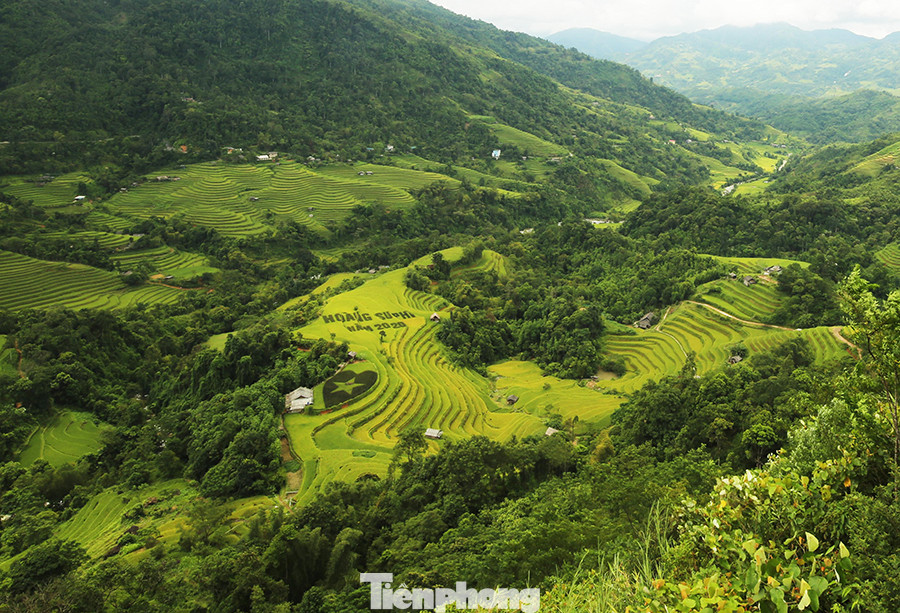 Ngất ngây áng mây bay trên những thửa ruộng bậc thang chín vàng ở Hà Giang ảnh 1