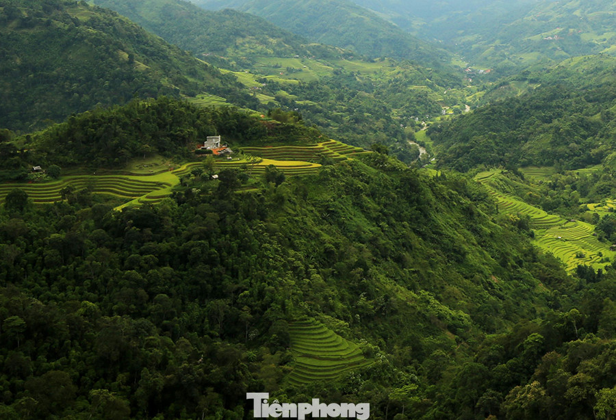 Ngất ngây áng mây bay trên những thửa ruộng bậc thang chín vàng ở Hà Giang ảnh 2
