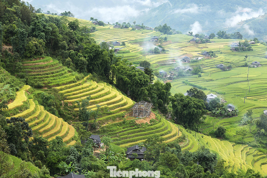 Ngất ngây áng mây bay trên những thửa ruộng bậc thang chín vàng ở Hà Giang ảnh 5