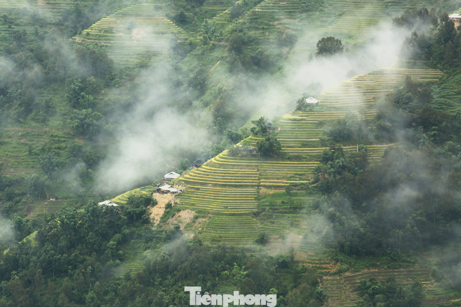 Ngất ngây áng mây bay trên những thửa ruộng bậc thang chín vàng ở Hà Giang ảnh 10