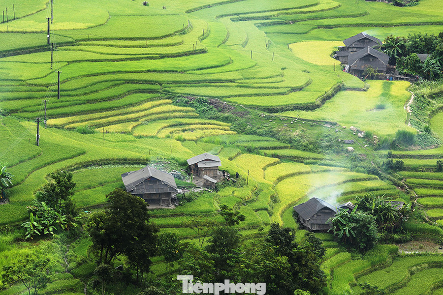 Ngất ngây áng mây bay trên những thửa ruộng bậc thang chín vàng ở Hà Giang ảnh 8