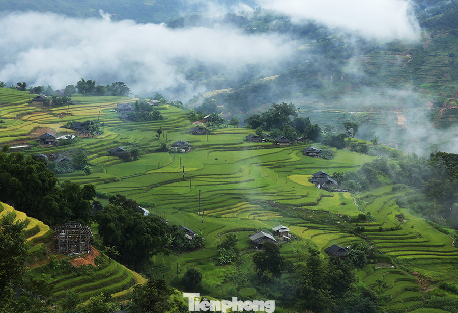 Ngất ngây áng mây bay trên những thửa ruộng bậc thang chín vàng ở Hà Giang ảnh 4