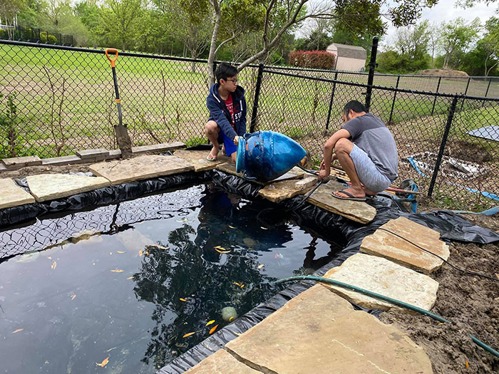 Ca sĩ Hồng Ngọc khoe ảnh nuôi gà, thả cá chống dịch trên đất Mỹ ảnh 7