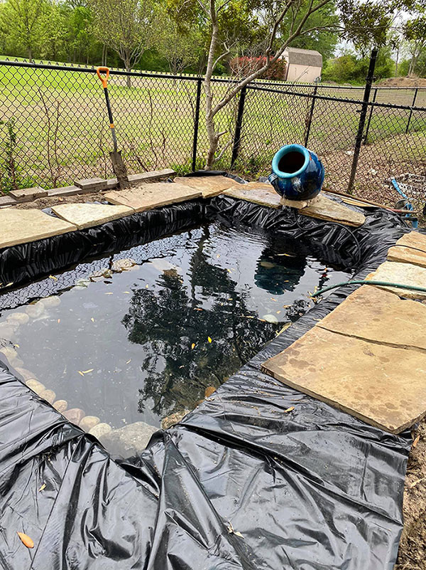 Ca sĩ Hồng Ngọc khoe ảnh nuôi gà, thả cá chống dịch trên đất Mỹ ảnh 6