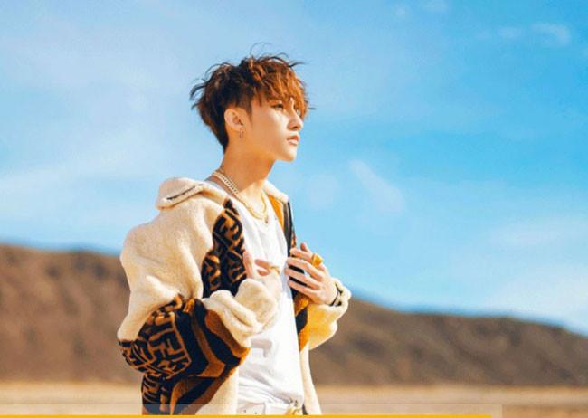 Sơn Tùng M-TP sẽ làm gì sau khi giải nghệ? ảnh 4